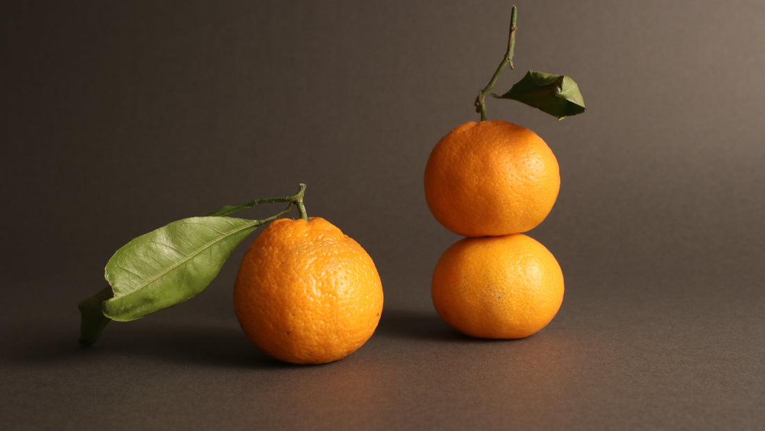 Why the Ingredients in Your Skincare Actually Matter